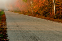 Into the Mist