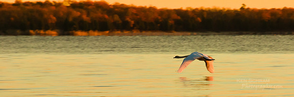 Grace at Sunrise