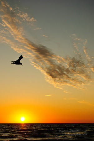 Catch the Morning Flight