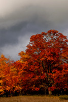 Winter Approaches
