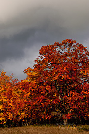 Winter Approaches